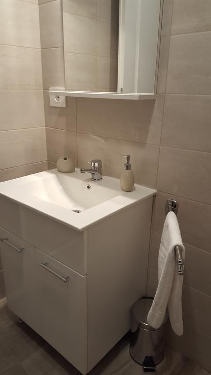Apartment Schiller 3 ブラショフ エクステリア 写真