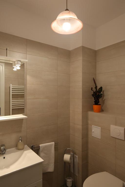 Apartment Schiller 3 ブラショフ エクステリア 写真